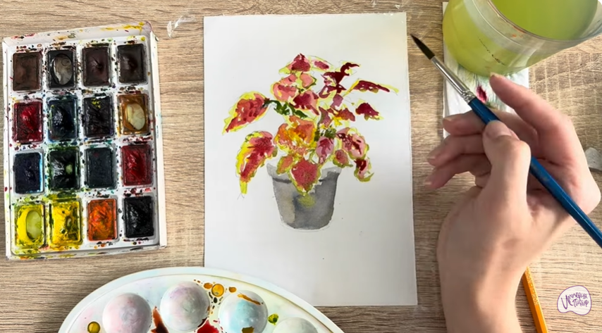 Рисуем Колеус в горшке