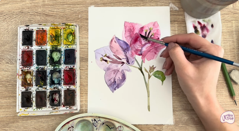 Рисуем Бугенвиллея