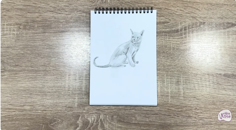 Рисуем Кот породы "Корат"