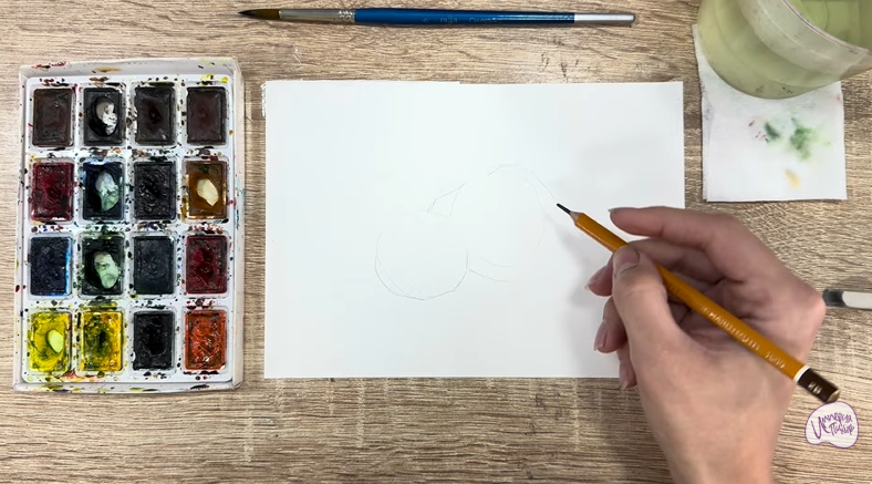 Рисуем Макадамия