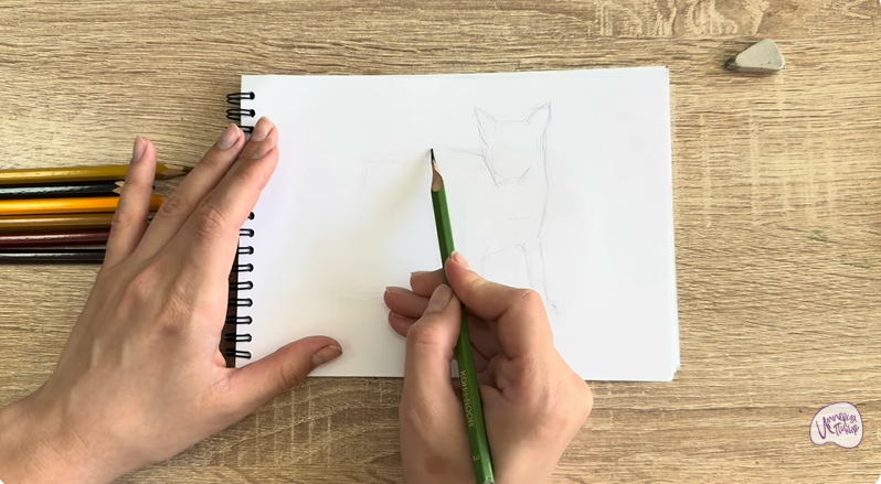 Рисуем Кот породы Оцикет