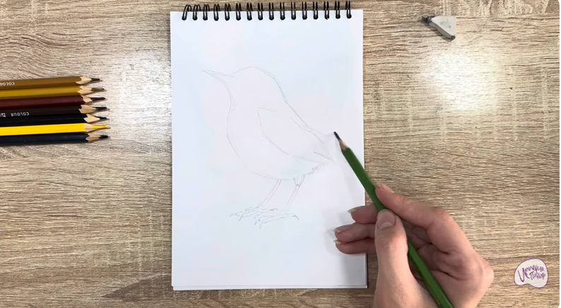 Рисуем Крапивник