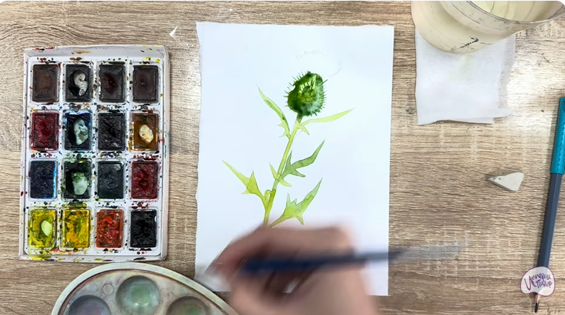 Рисуем Бодяк