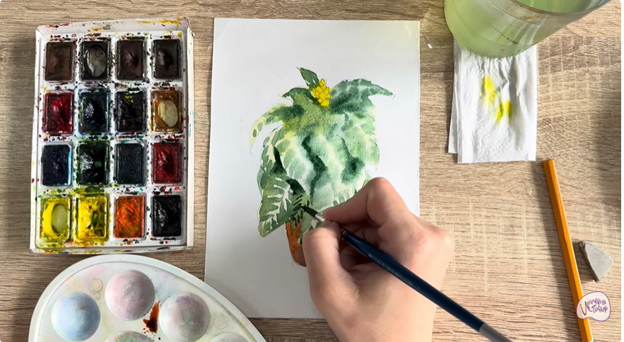 Рисуем Афеландра в горшке