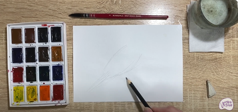 Рисуем Кедровка