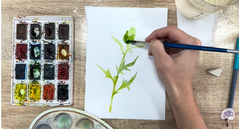 Рисуем Бодяк