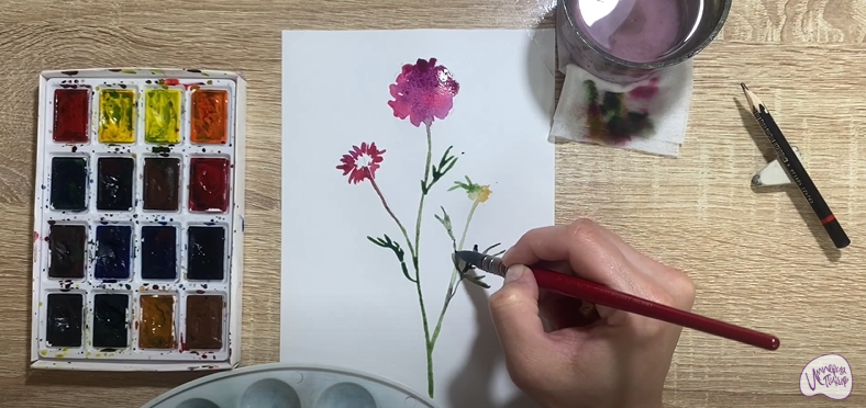Рисуем Цветок "Скабиоза"