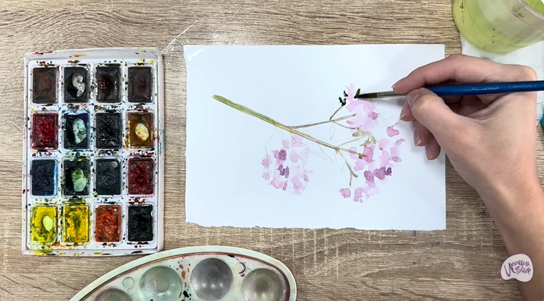 Рисуем Душица