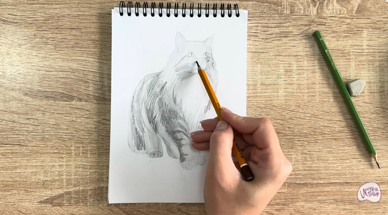 Рисуем Норвежский лесной кот