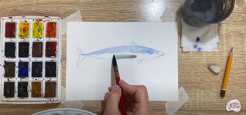 Рисуем Скумбрия