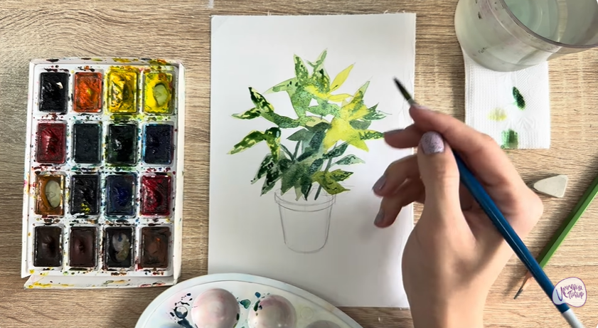 Рисуем Аукуба японская