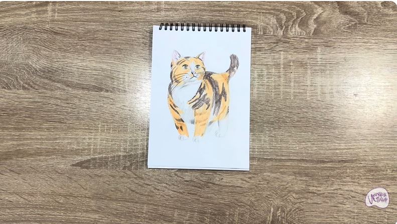 Рисуем Кошка породы "Манчкин" Рисуем Кошка породы "Манчкин"