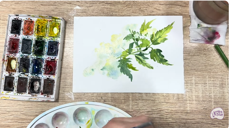 Рисуем Таволга