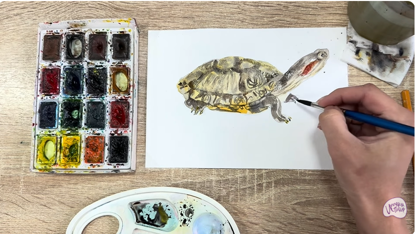 Рисуем Красноухая черепаха