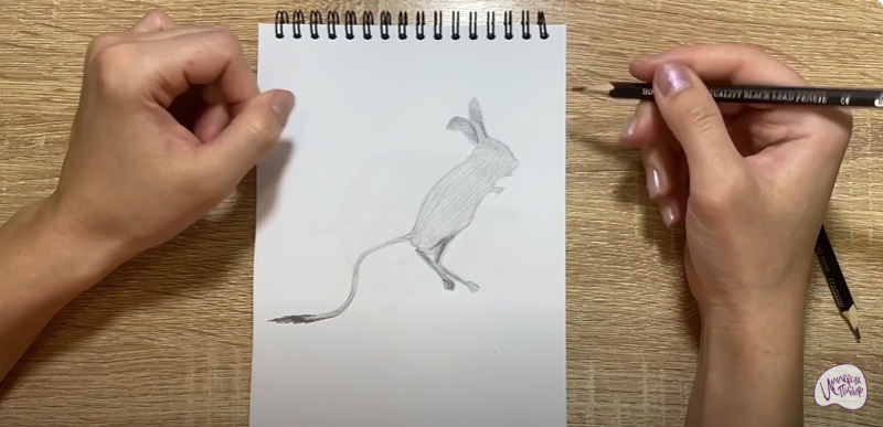 Рисуем Тушканчик