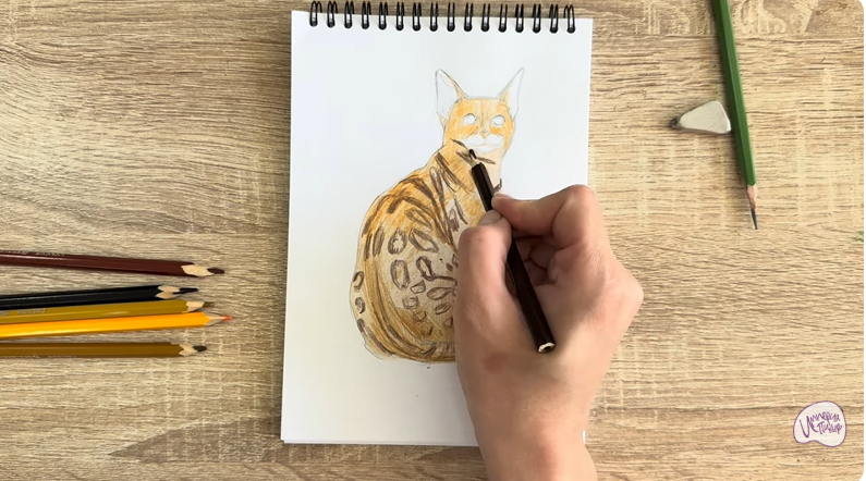 Рисуем Кошка Тойгер