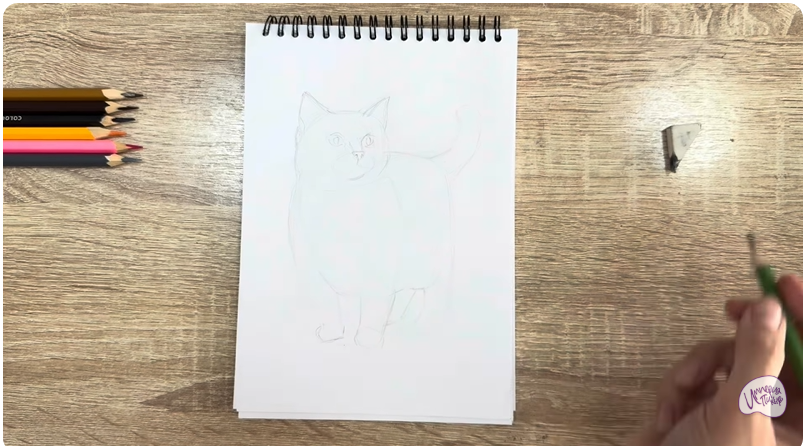 Рисуем Кошка породы "Манчкин"