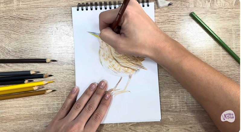 Рисуем Крапивник