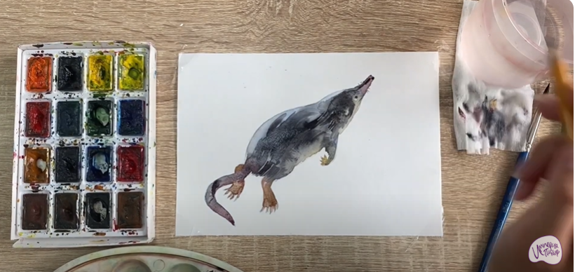 Рисуем Выхухоль