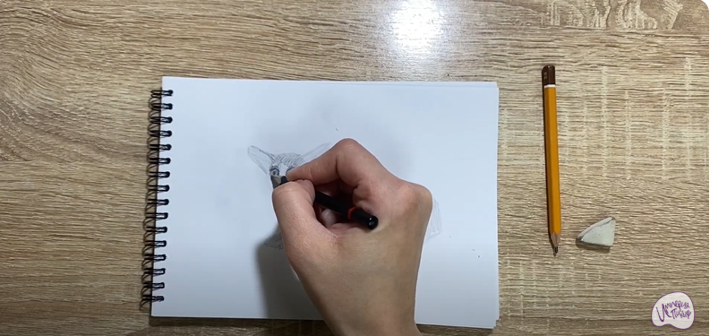 Рисуем Галаго