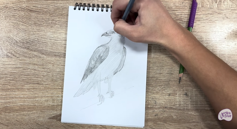 Рисуем Хохлатый осоед