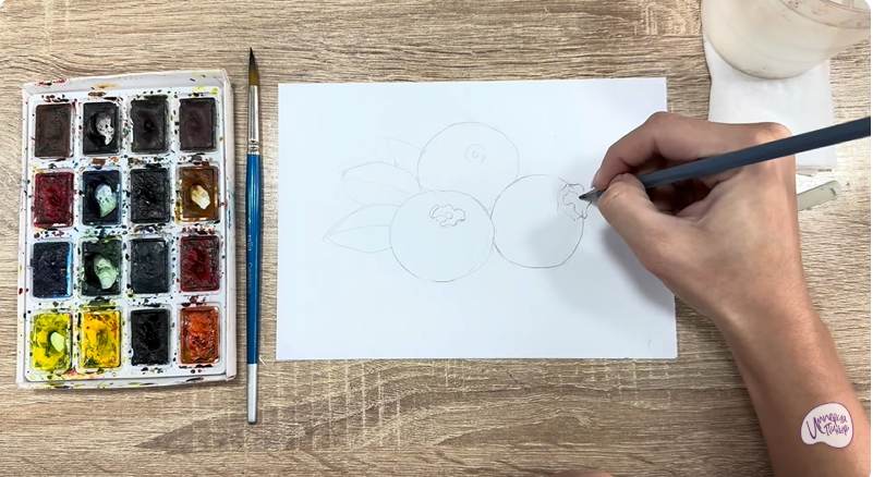 Рисуем Голубика