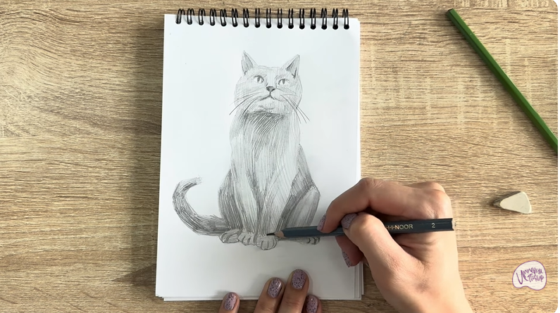 Рисуем Кот породы Шартрез