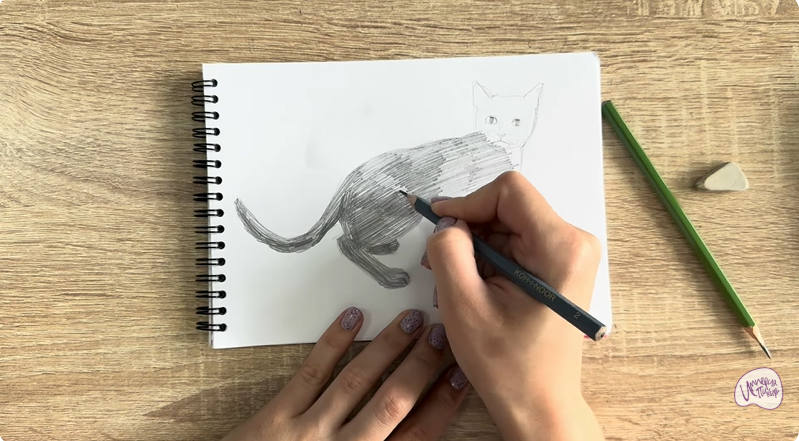 Рисуем Бомбейская кошка