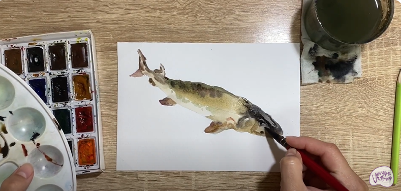 Рисуем Стерлядь