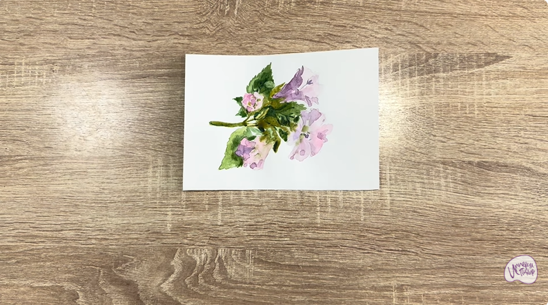 Рисуем Алтей лекарственный