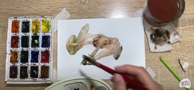 Рисуем Аскокорине торфяная