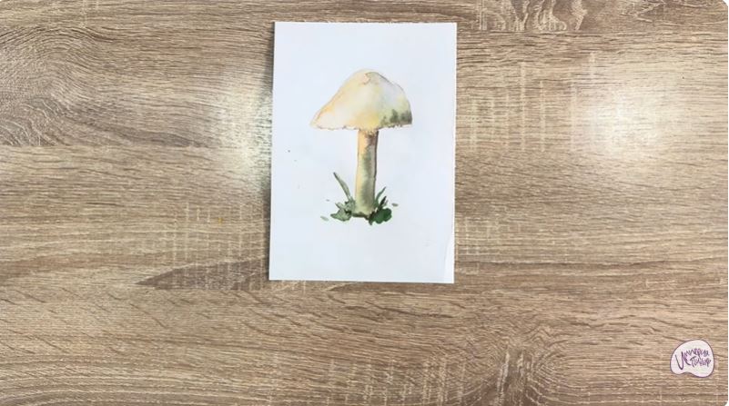 Рисуем Колпак кольчатый Рисуем Колпак кольчатый