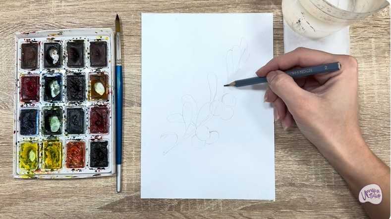 Рисуем Толокнянка