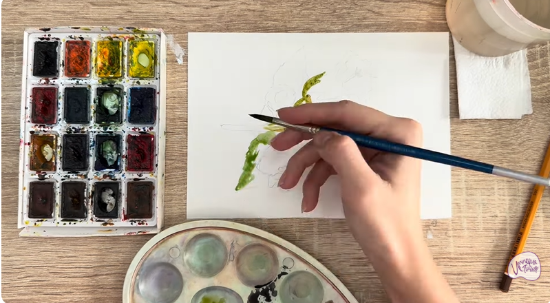 Рисуем Алтей лекарственный