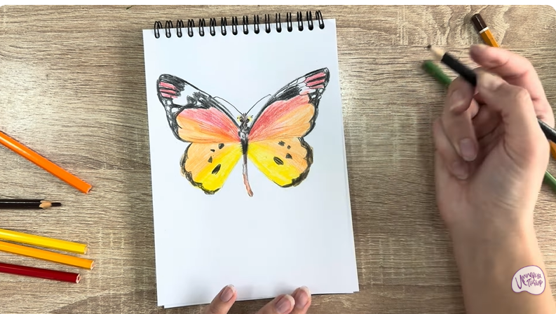 Рисуем Малинница обыкновенная