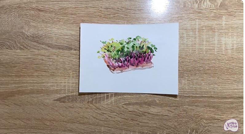 Рисуем Микрозелень