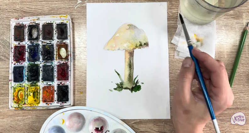 Рисуем Колпак кольчатый