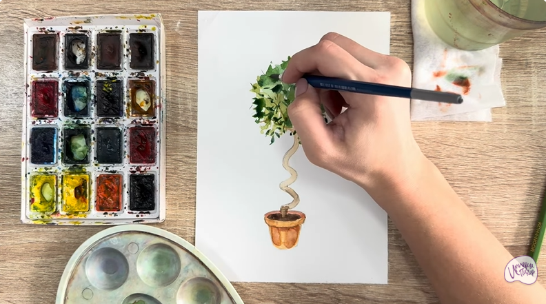 Рисуем Мирт обыкновенный