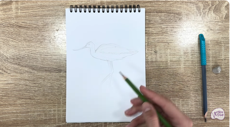 Рисуем Шилоклювка