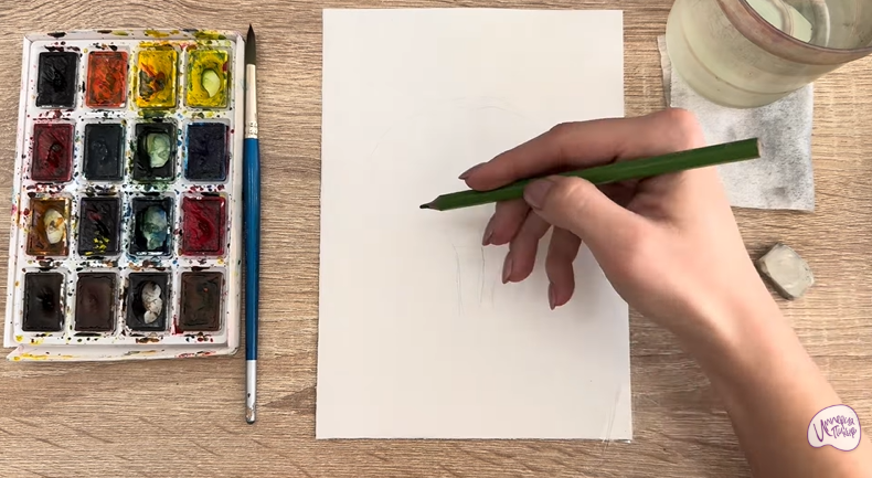 Рисуем Саженец бирючины