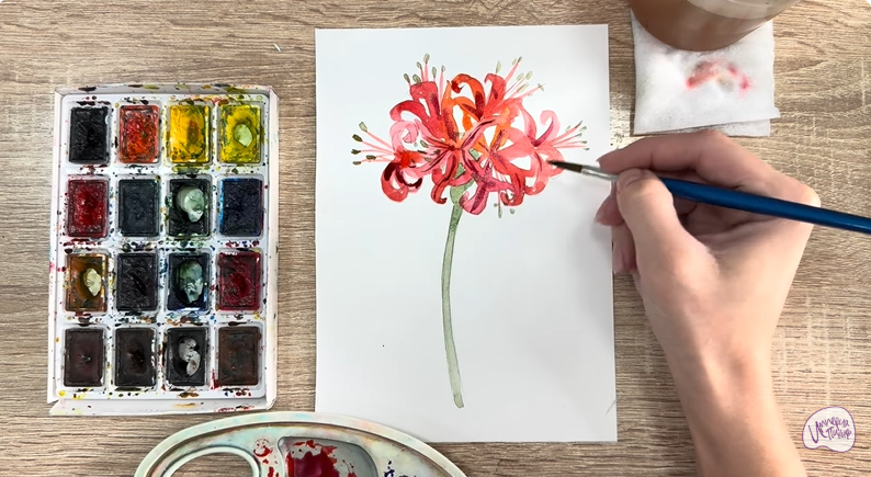 Рисуем Ликорис