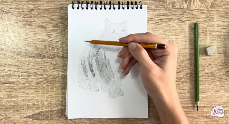 Рисуем Норвежский лесной кот