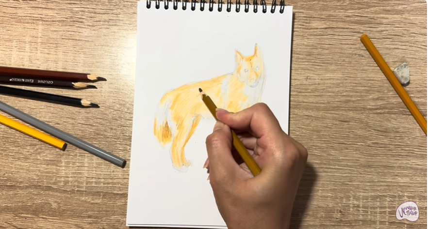 Рисуем Динго