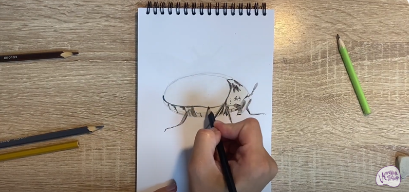 Рисуем Кожеед