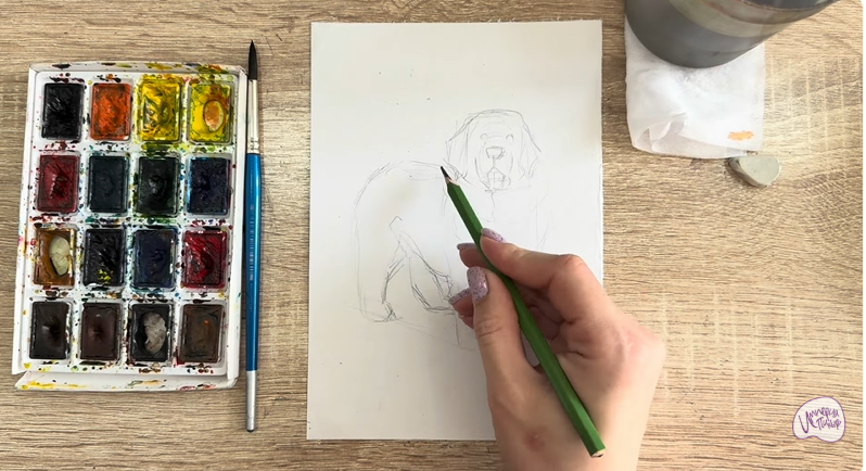 Рисуем Собака породы Ньюфаундленд