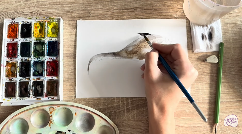 Рисуем Макрурус