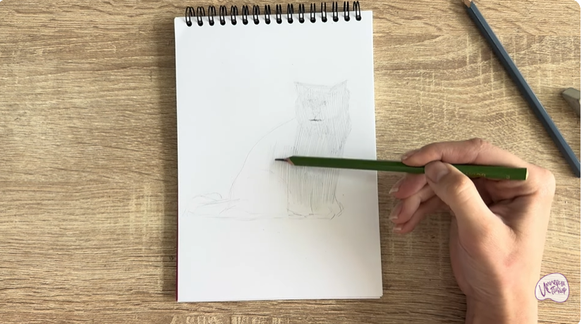 Рисуем Кошка породы Рэгдолл