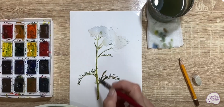 Рисуем Тысячелистник