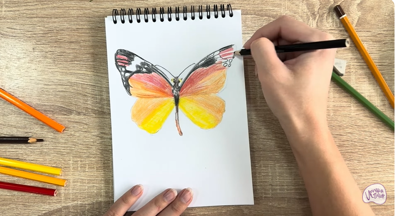 Рисуем Малинница обыкновенная