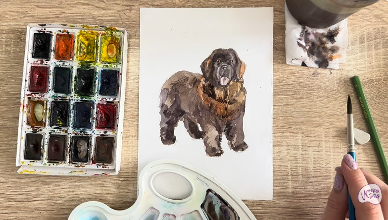 Рисуем Собака породы Ньюфаундленд